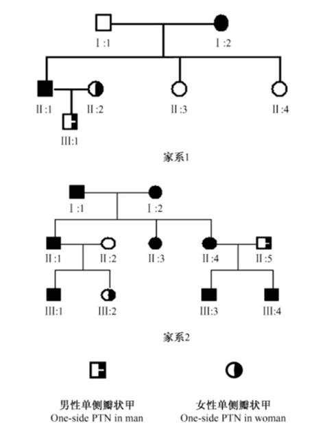 瓣狀甲血統|什麼是瓣狀甲？有遺傳性，還和這樣因素有關